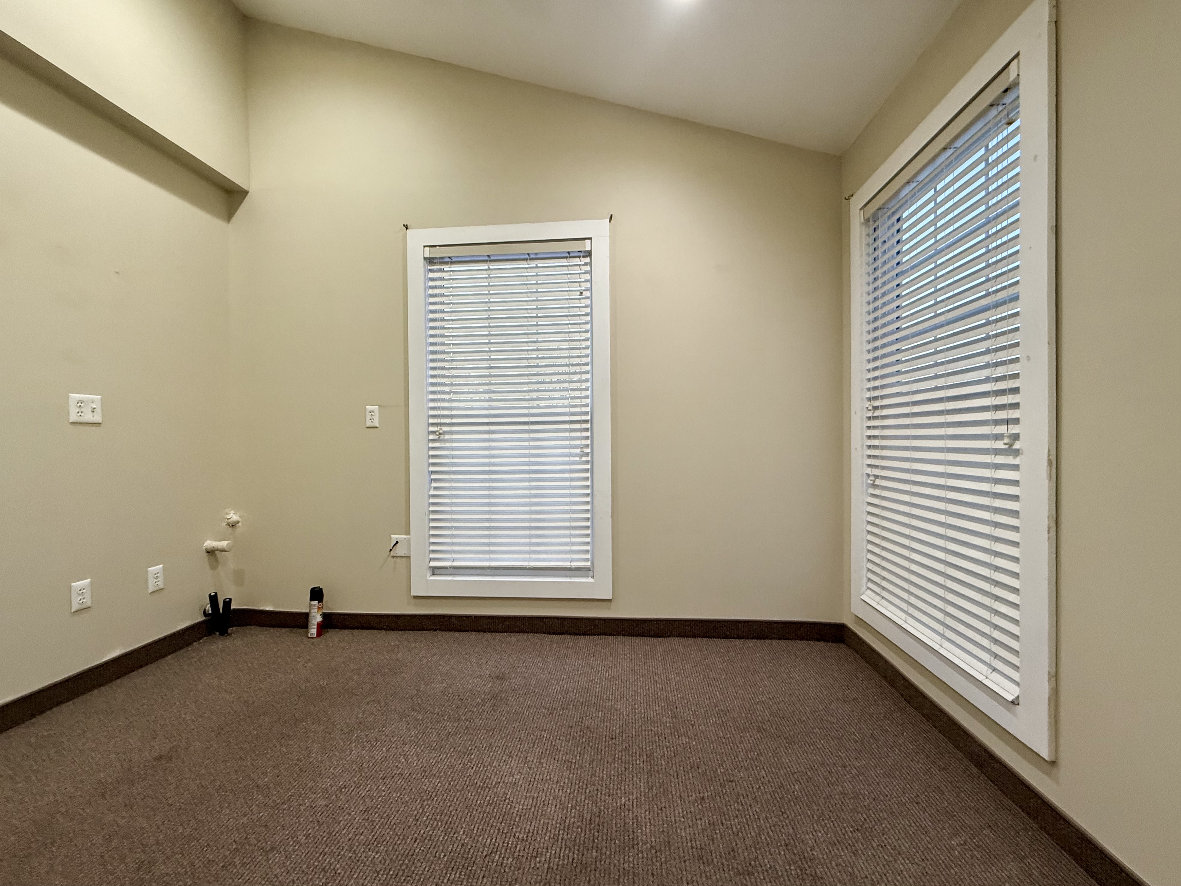 Suite 101 — bright private office with vaulted ceiling and double windows
